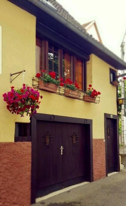 Chez Mamema, Maison Alsacienne Route Des Vins 킨츠하임 외부 사진